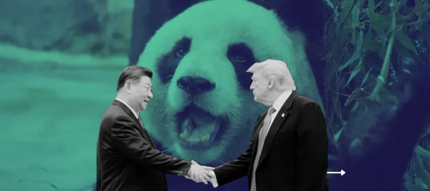 China enviará dos pandas a Atlanta bajo acuerdo de conservación