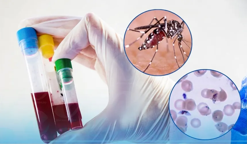 Salud Pública reporta una reducción de 82 % en los casos de malaria durante 2026